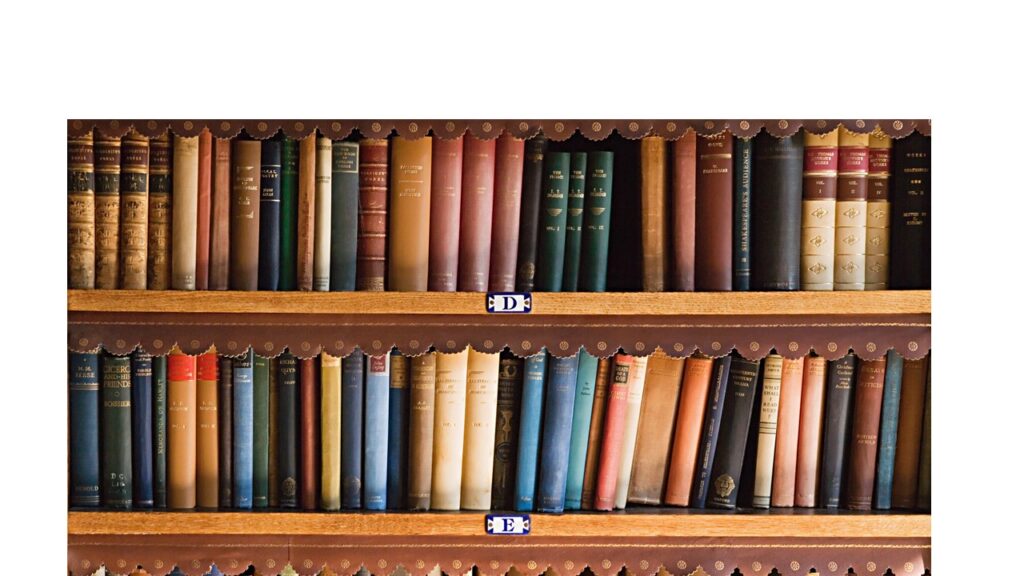 Shelves of books