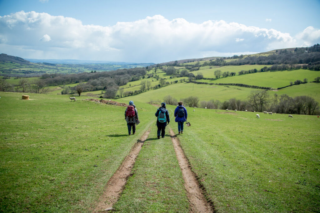 People walking in a meadow